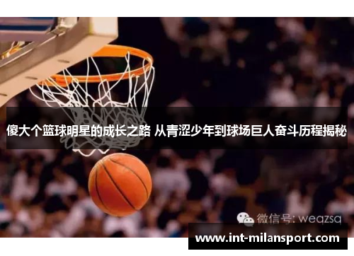 傻大个篮球明星的成长之路 从青涩少年到球场巨人奋斗历程揭秘