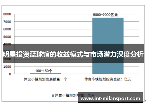 明星投资篮球馆的收益模式与市场潜力深度分析