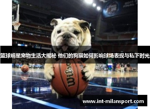 篮球明星宠物生活大揭秘 他们的狗猫如何影响球场表现与私下时光