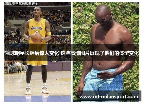 篮球明星长胖后惊人变化 这些高清图片展现了他们的体型变化