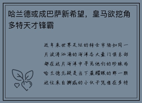 哈兰德或成巴萨新希望，皇马欲挖角多特天才锋霸
