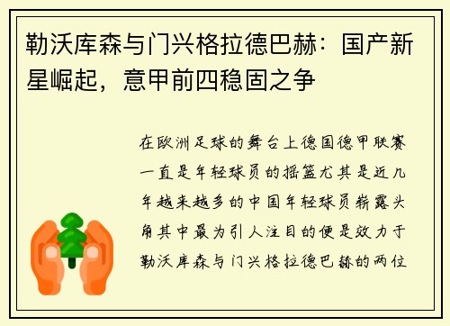 勒沃库森与门兴格拉德巴赫：国产新星崛起，意甲前四稳固之争
