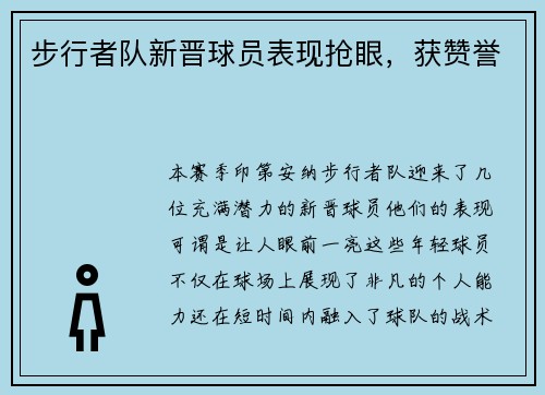 步行者队新晋球员表现抢眼，获赞誉