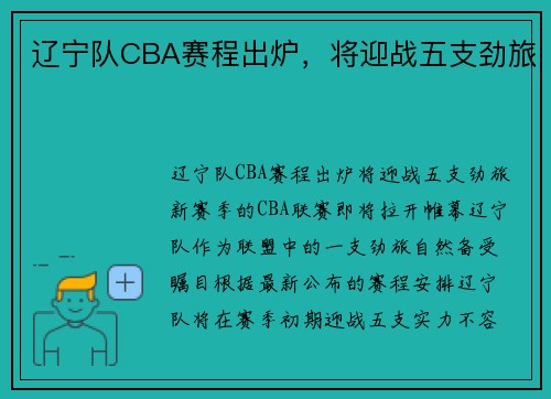 辽宁队CBA赛程出炉，将迎战五支劲旅